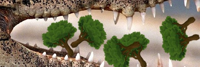 EricSaumur's profile banner image