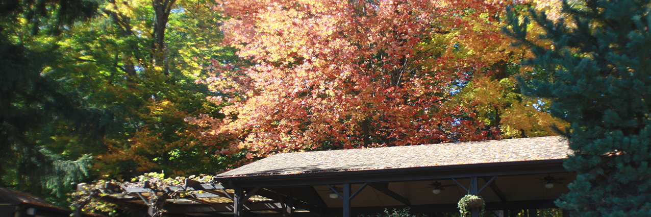 mcmanumv's profile banner image
