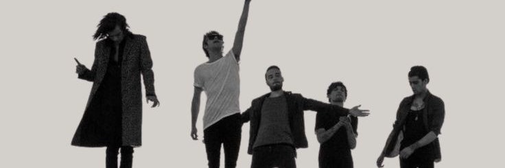 Sheezus1D's profile banner image