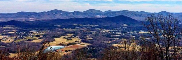 Dr Rachel Tracey banner