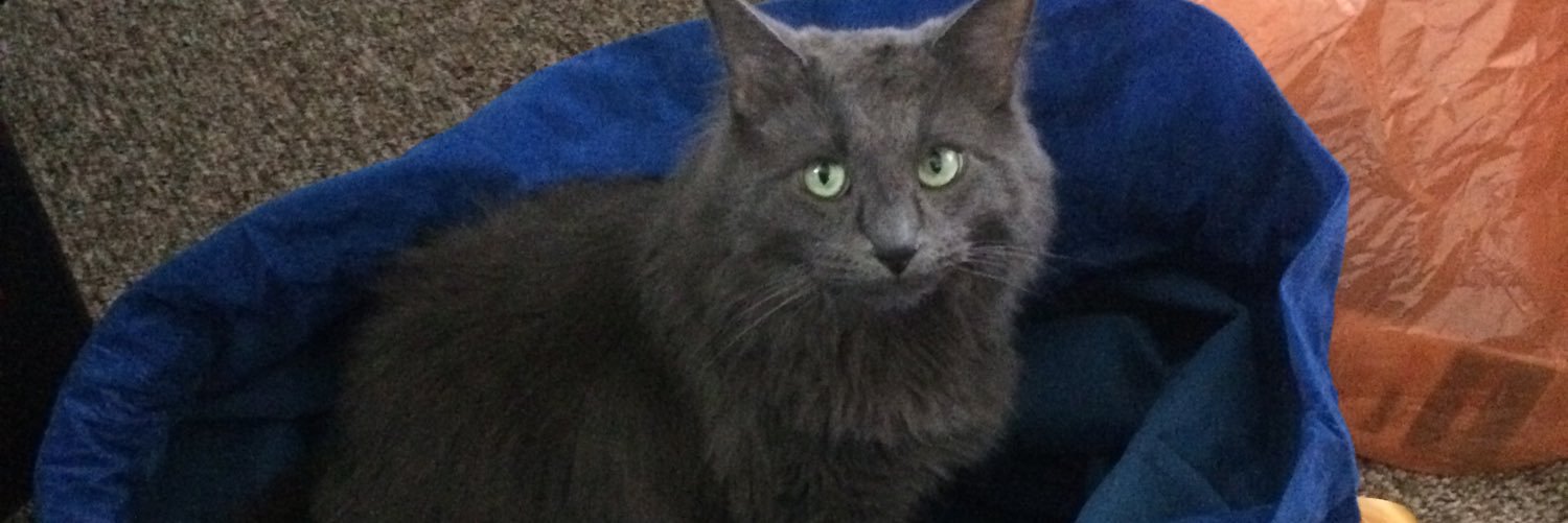 jaylaws30's profile banner image