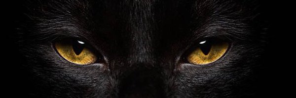 Body_Butter4 Profile Banner