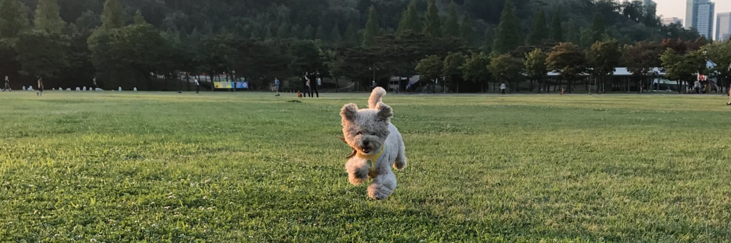 AliciaRhee's profile banner image