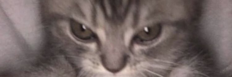 rolexfps's profile banner image