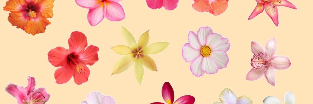 LourdesLousa's profile banner image