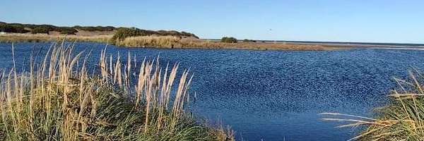 MarAle1927 Profile Banner