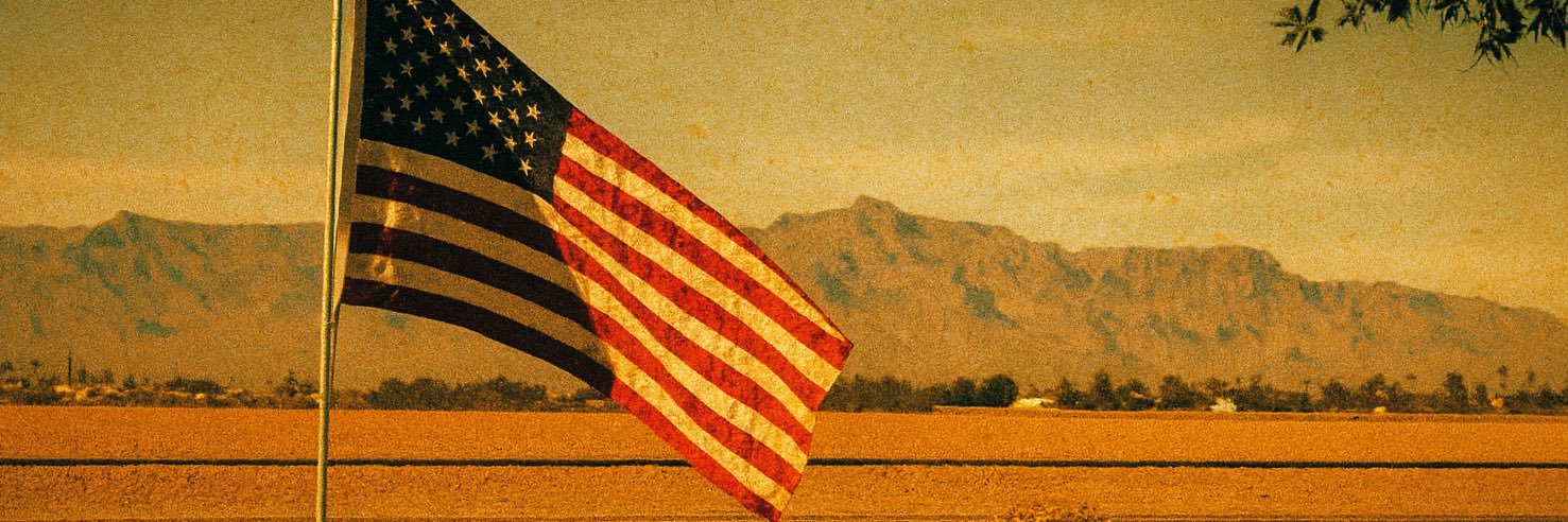 Department of Distraction's banner