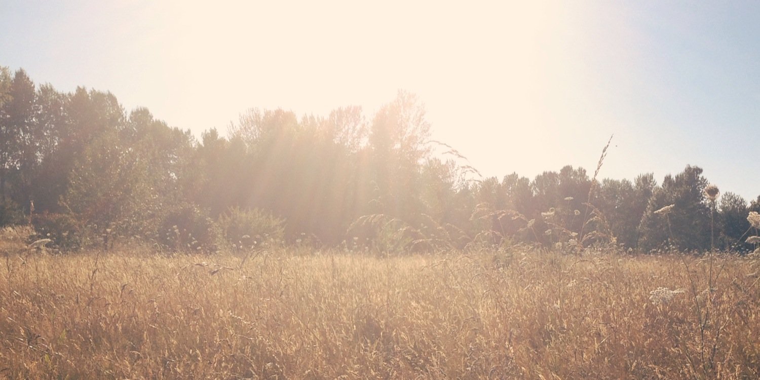 emilyaarang's profile banner image