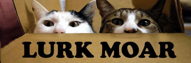 dank_martens's profile banner image
