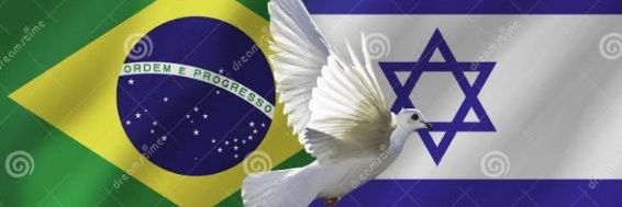Fátima Flávio Bolsonaro banner