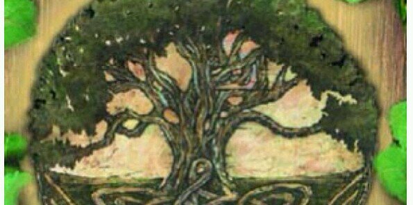 aquelescachos's profile banner image