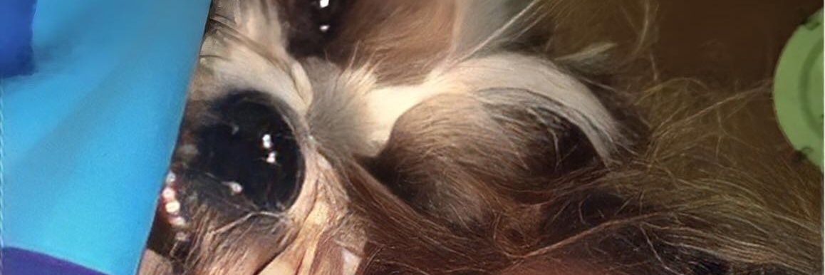 keydddfps's profile banner image
