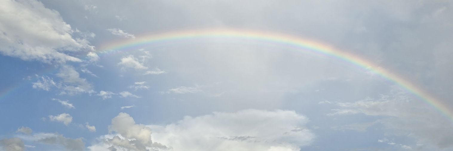 janellemusick's profile banner image