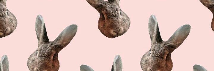 mjjiyul's profile banner image