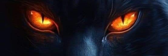 Cat_Fire banner