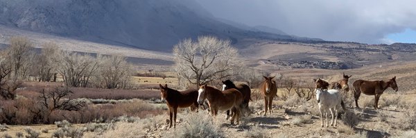 Maxlikesrocks Profile Banner