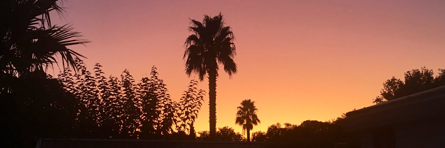 EScroFLo's profile banner image