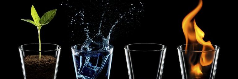 Coach Michelle banner