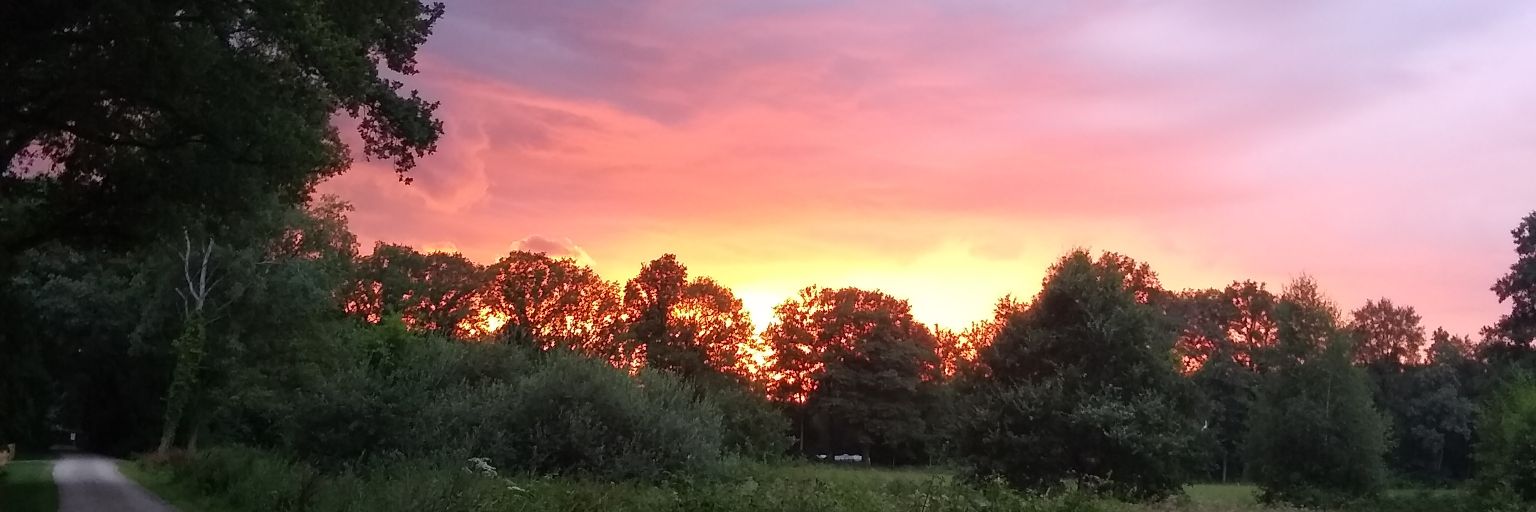 essiebs's profile banner image