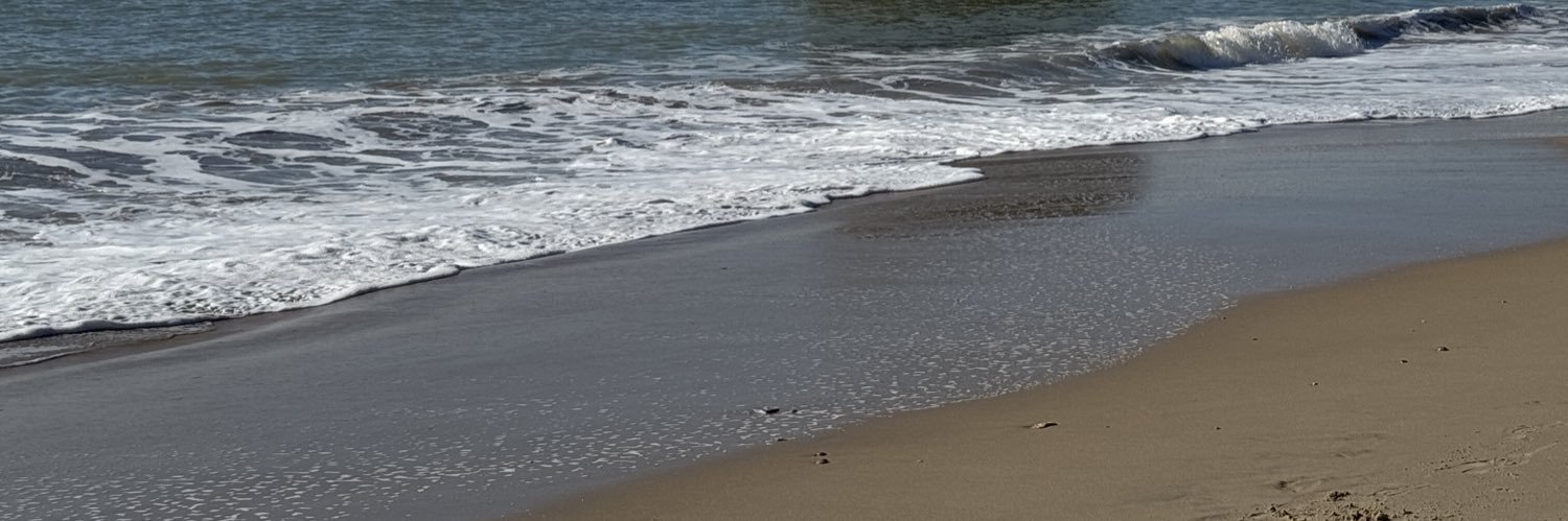 ferryon999's profile banner image