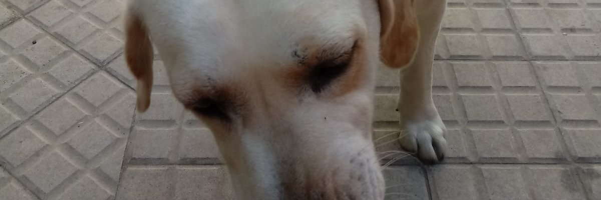 yamenava's profile banner image