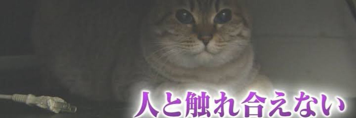 Haru.UnityPackage banner