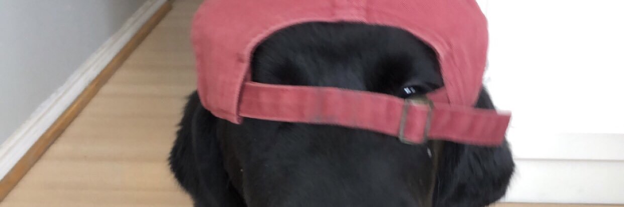 Manzarap's profile banner image