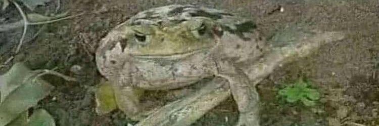 imsuffering420's profile banner image