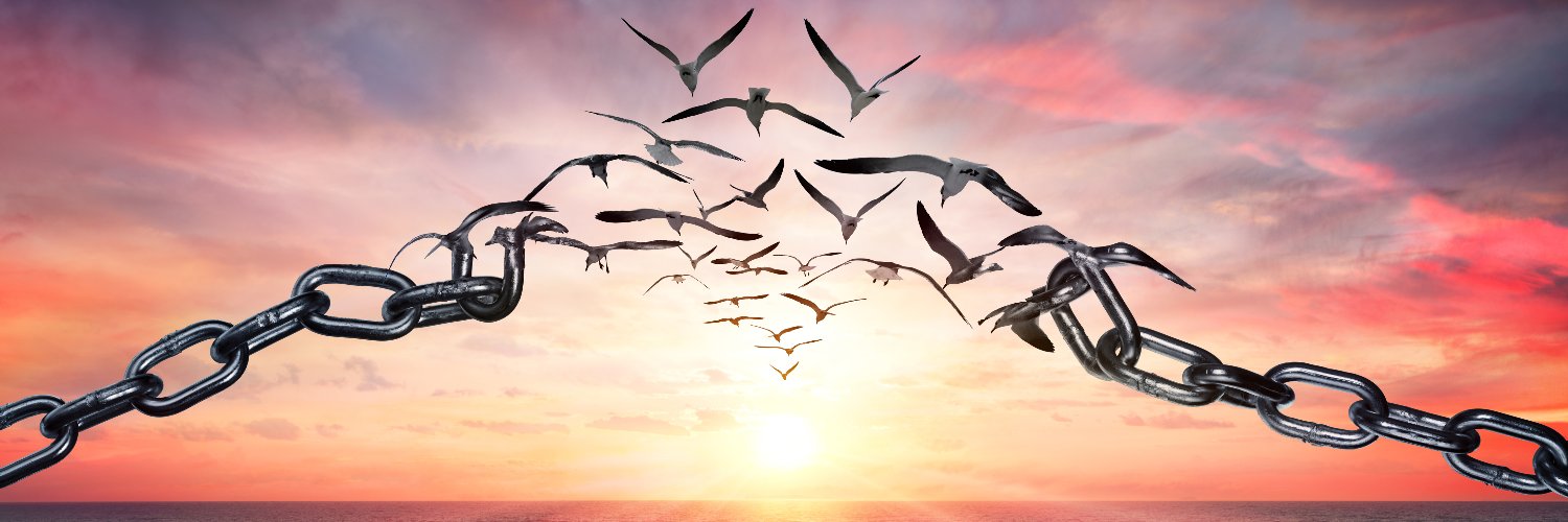 MrsCaptainScott banner