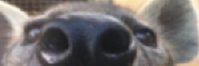 Marwin 🔜 ur mom banner