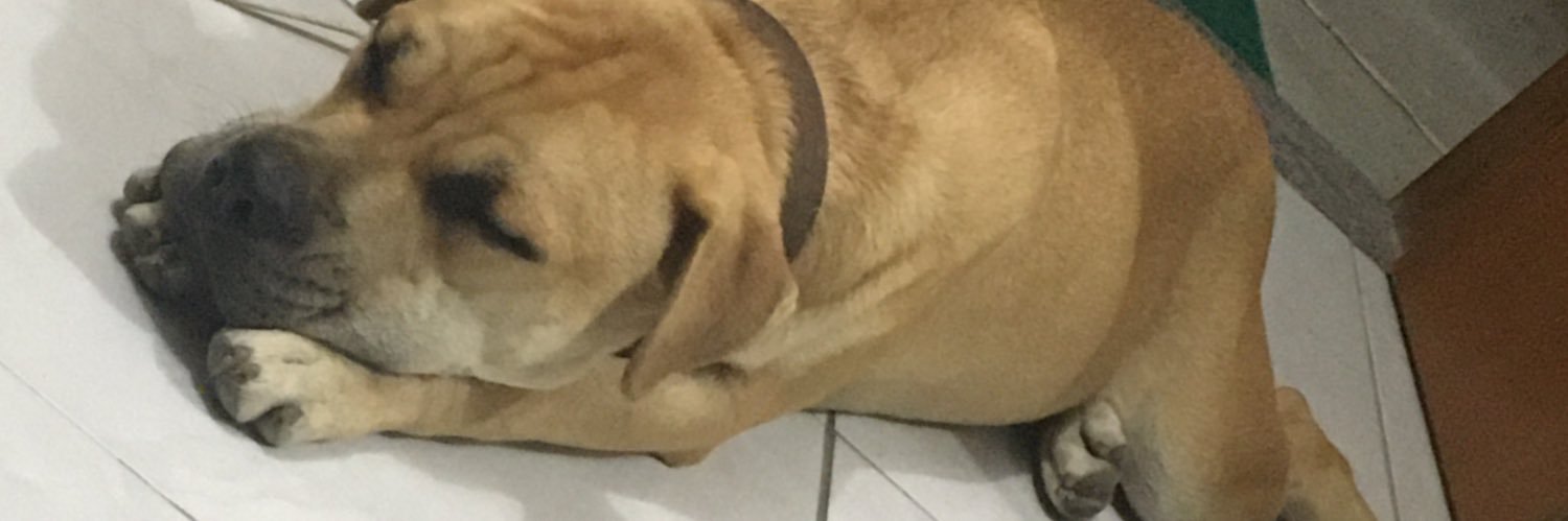 marifernandop's profile banner image