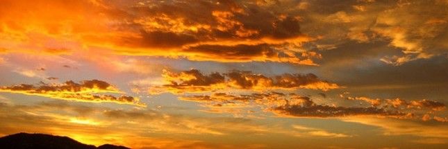 Jocelyne Arguello banner