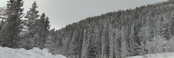 Toloncho___ Profile Banner