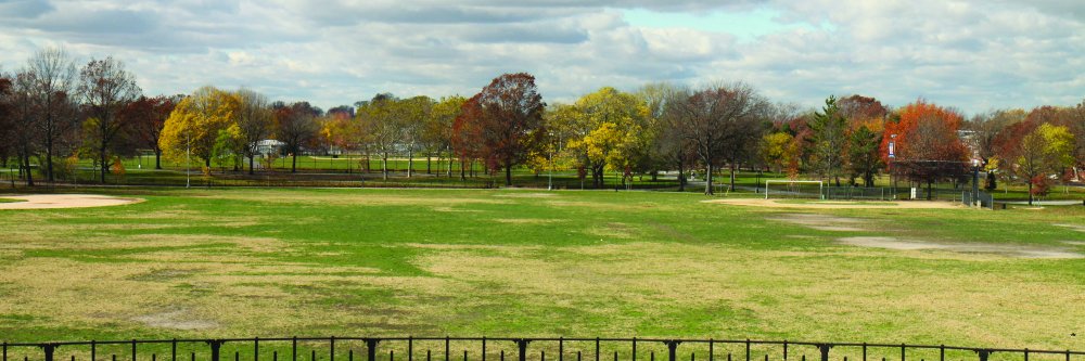 Juniper Park Civic banner
