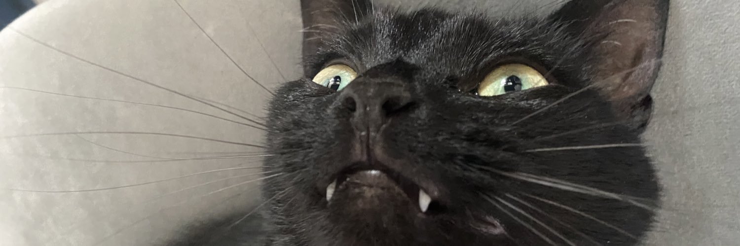 cxitlinobvs's profile banner image