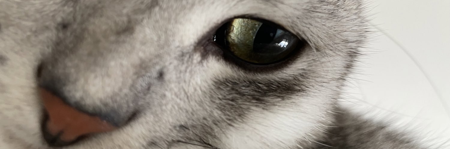 mon banner