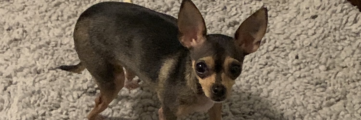 MaxfieldNavarro's profile banner image