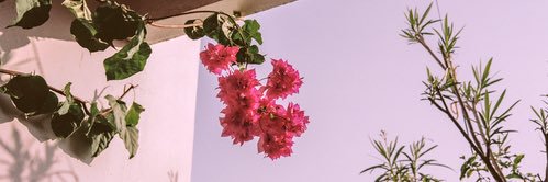Barbaroo_'s profile banner image