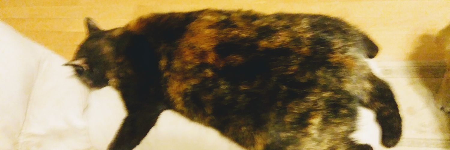lohody's profile banner image