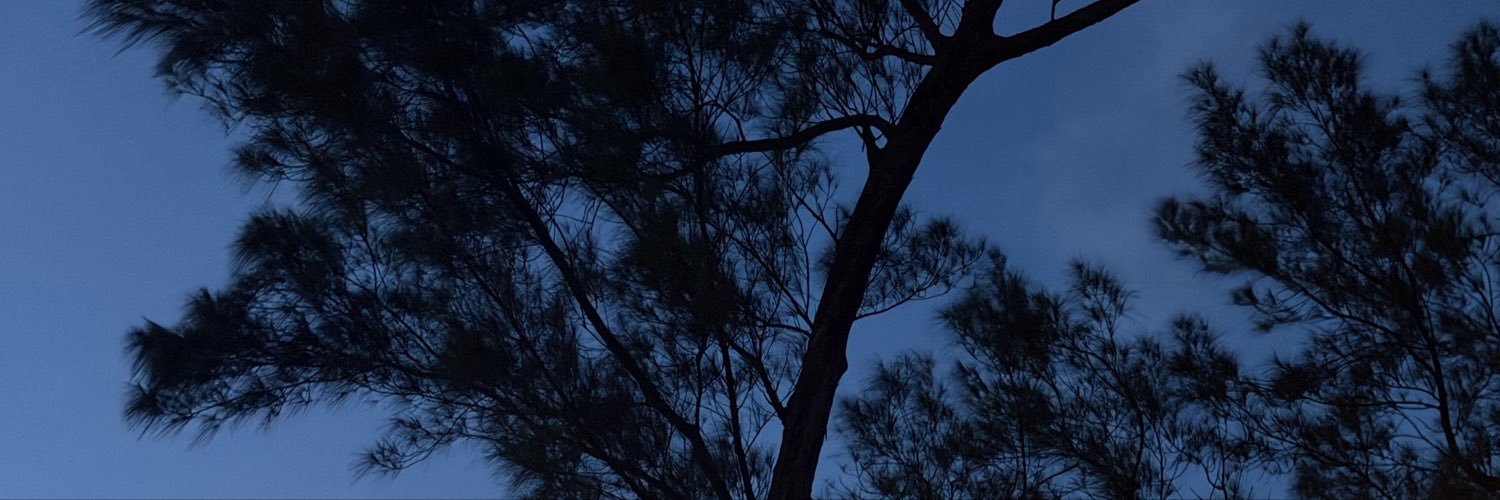 Dannpare's profile banner image