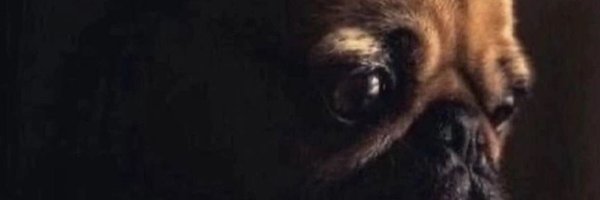 _timmaryderi Profile Banner