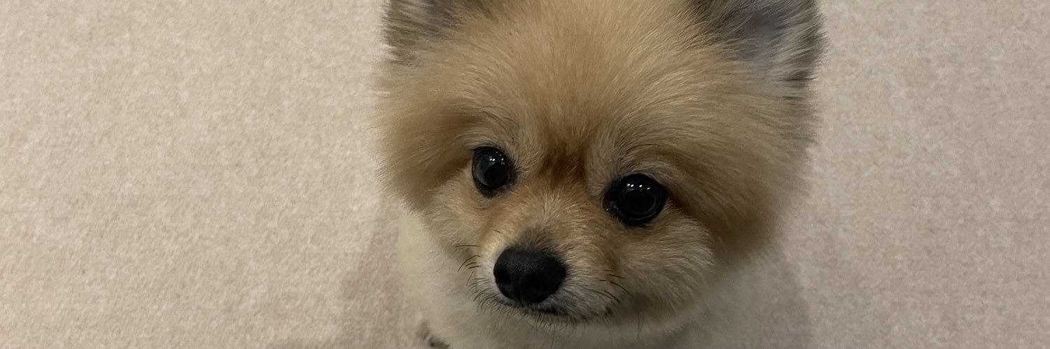 ひーたんちゃん banner