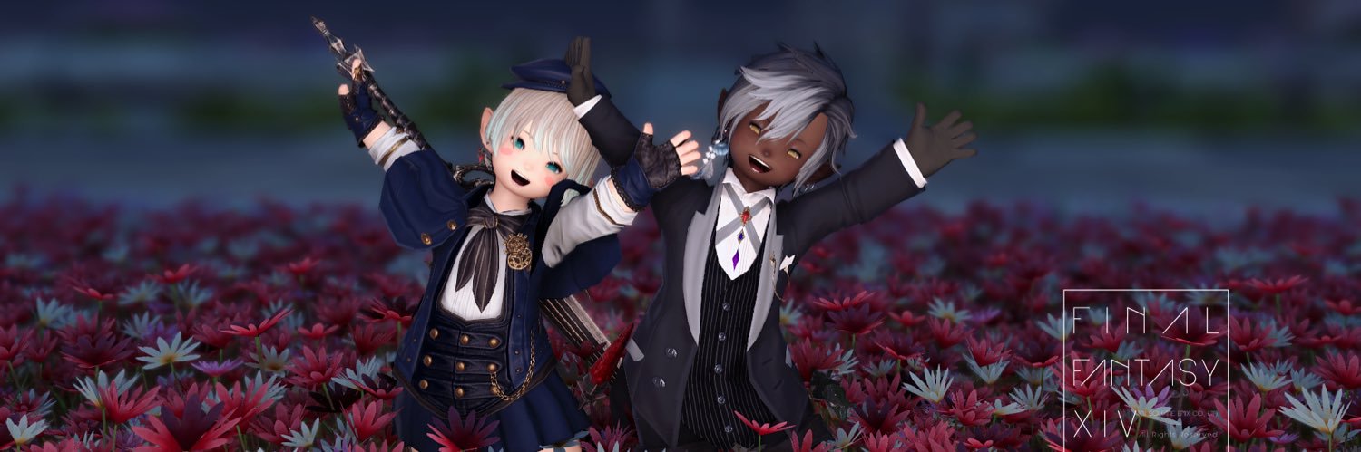 ひぼぼぼぬ@Ramuh banner