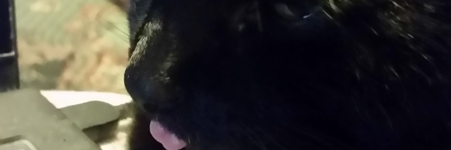 _Inaar's profile banner image