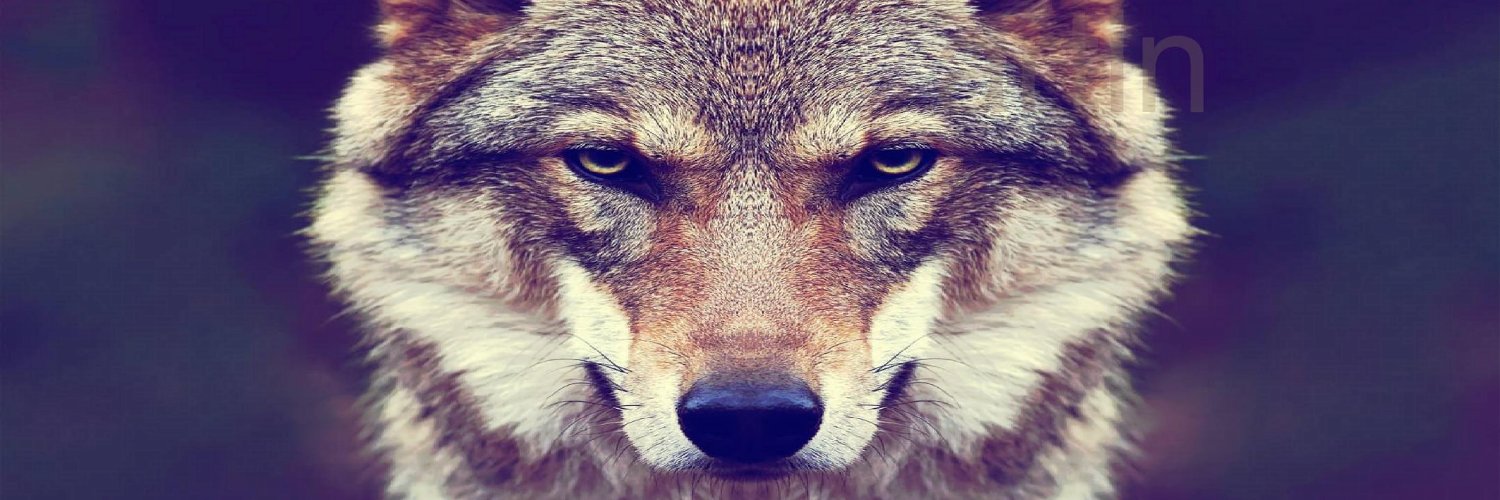 MartinDick55625's profile banner image