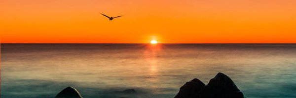 Inma363072 Profile Banner
