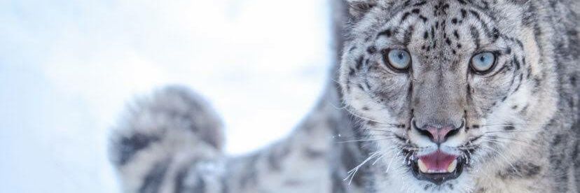 reZPra's profile banner image