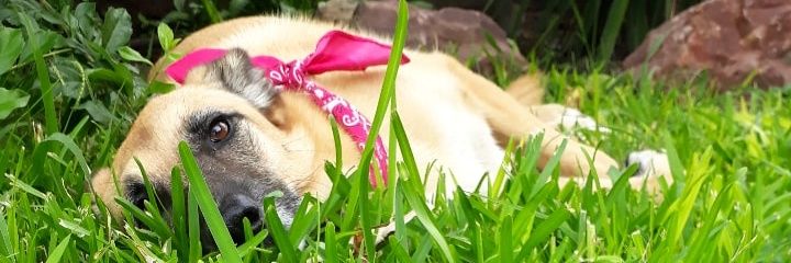 KatiaBegli's profile banner image
