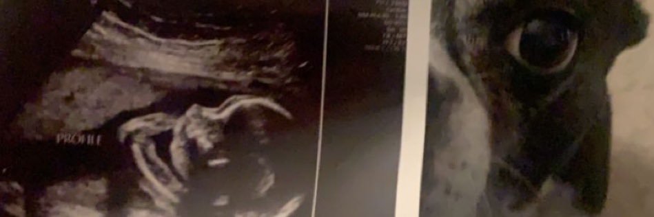 AdrianM_67's profile banner image