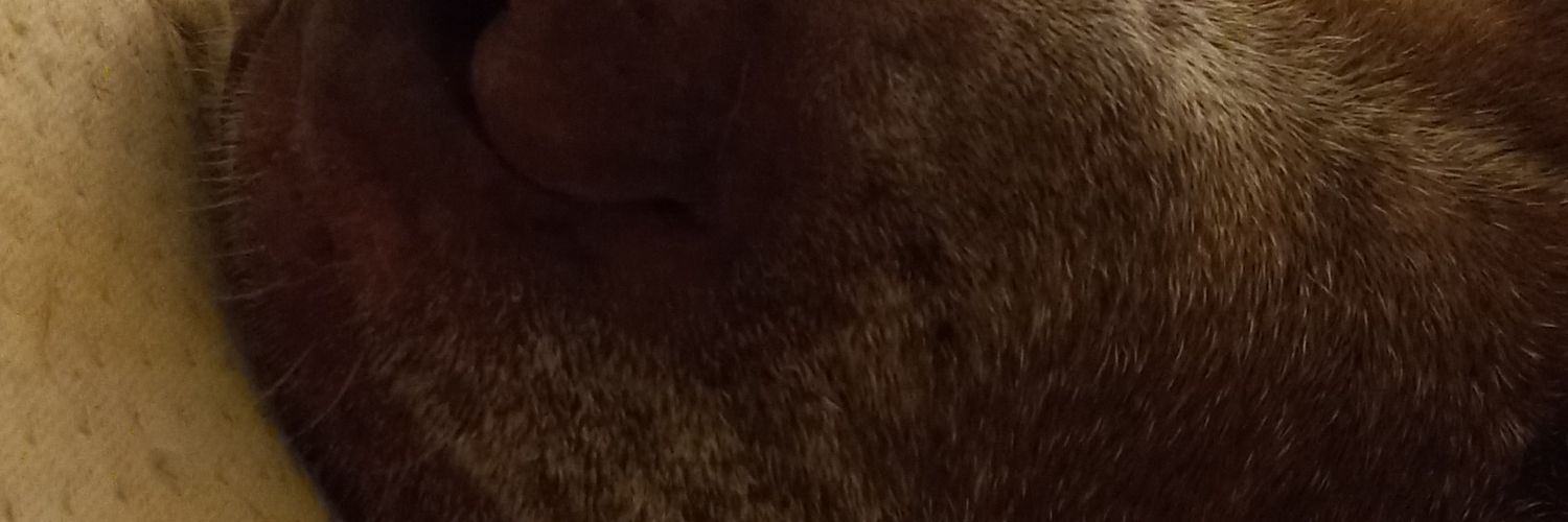 ja_amber's profile banner image